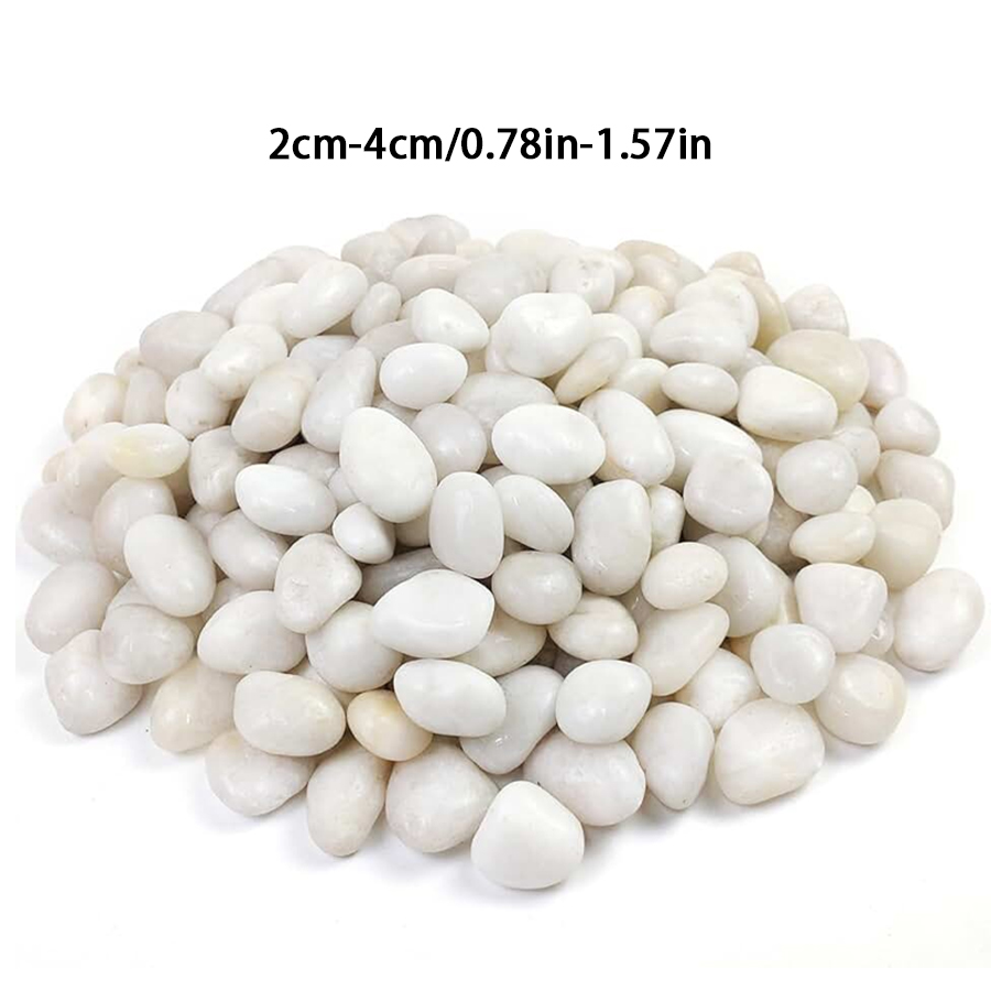 300/600g Polished White Pebble - Plant Parenting 评论和价格