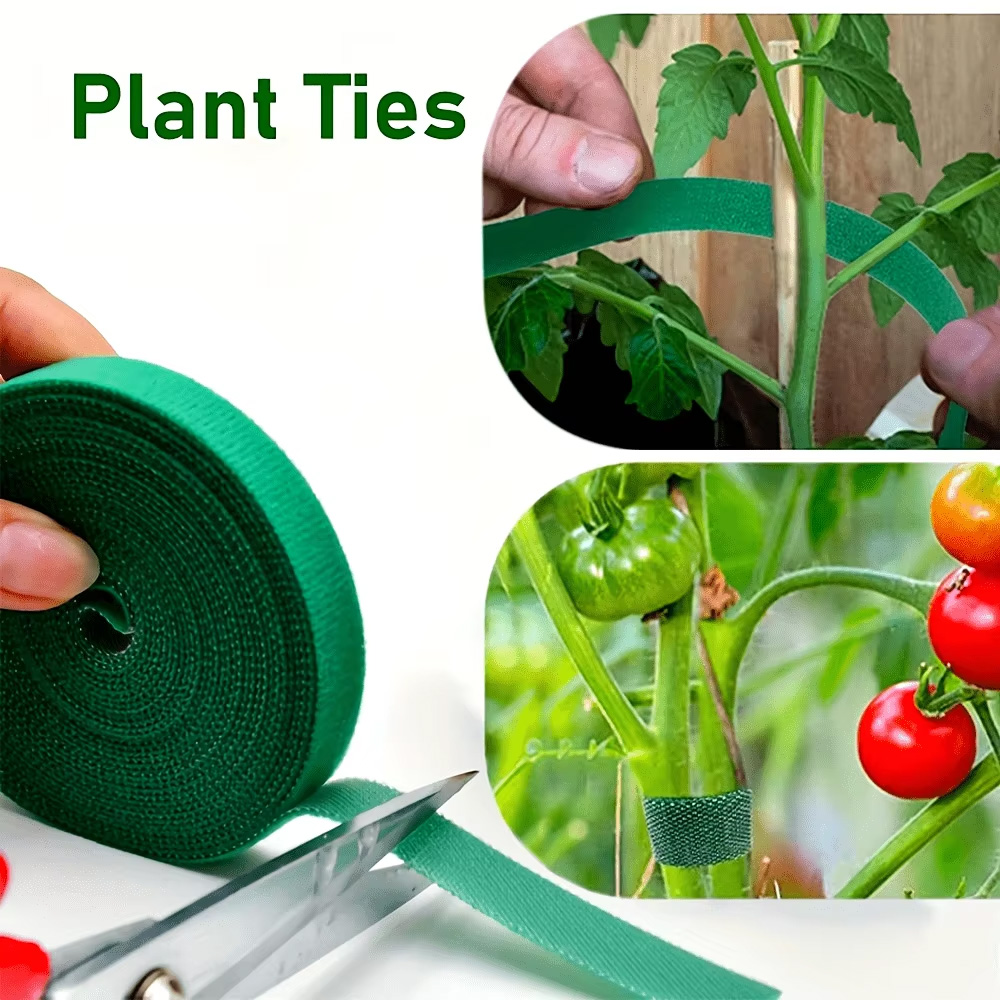 2M Reusable Plant Ties Nylon G - Plant Parenting 评论和价格