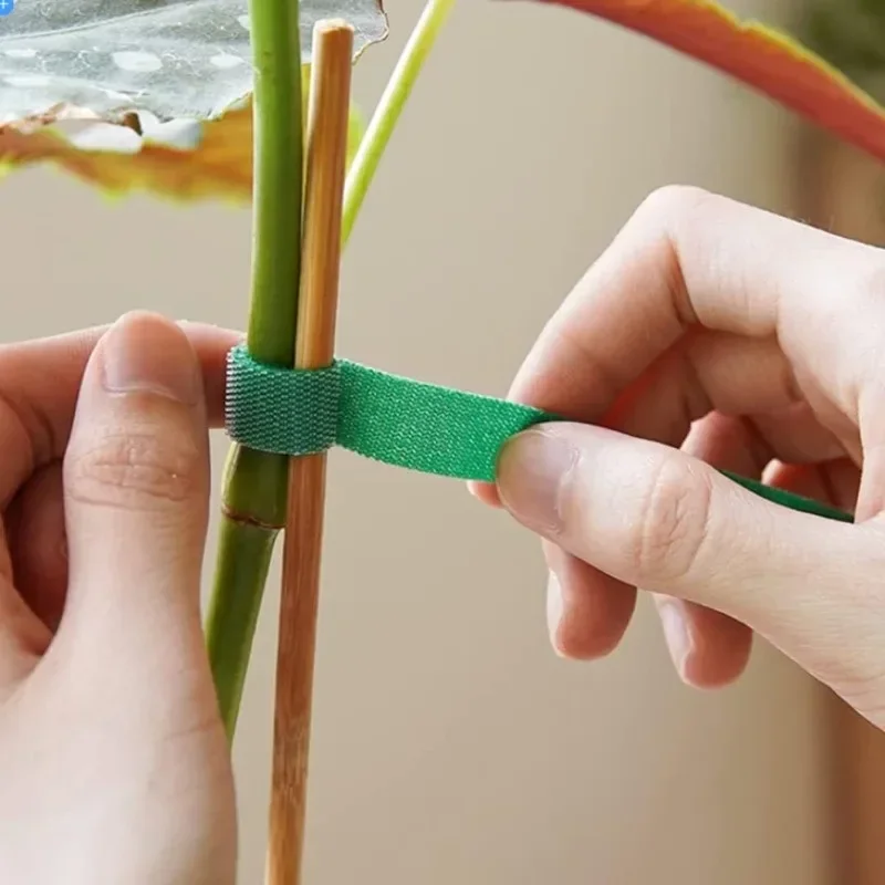 2M Reusable Plant Ties Nylon G - Plant Parenting 评论和价格