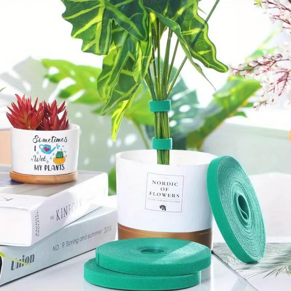 2M Reusable Plant Ties Nylon G - Plant Parenting 评论和价格
