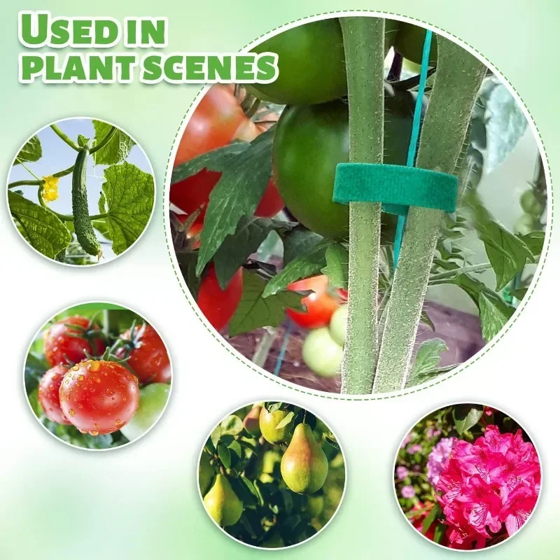 2M Reusable Plant Ties Nylon G - Plant Parenting 评论和价格