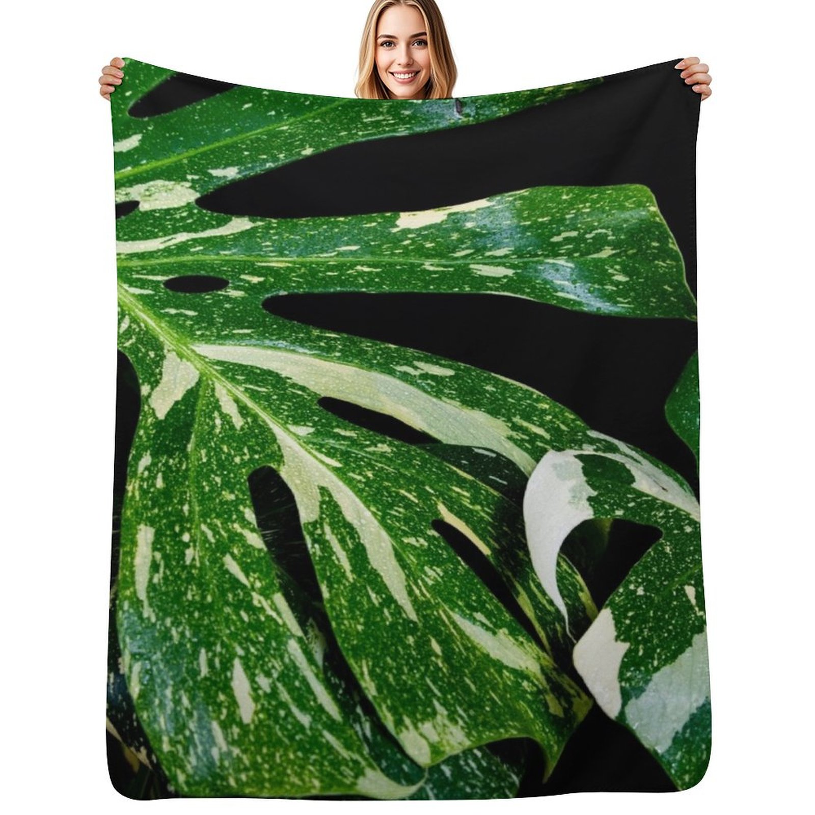 Monstera Thai Constellation Th - Monstera Thai Constellation 评论和价格