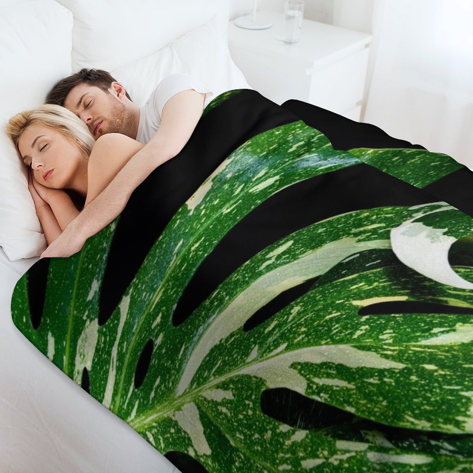 Monstera Thai Constellation Th - Monstera Thai Constellation 评论和价格