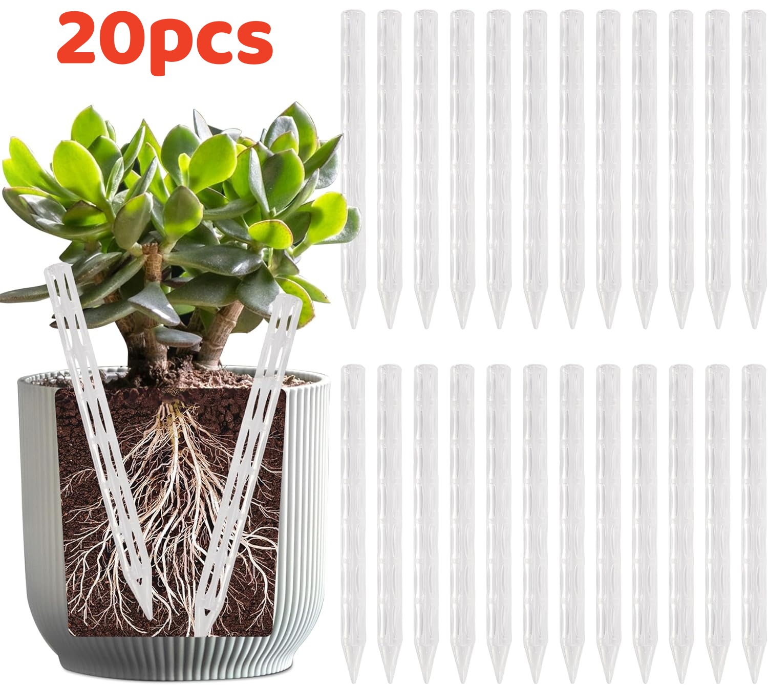 10/20Pcs Drainage Pipes To Pre - Plant Parenting 评论和价格