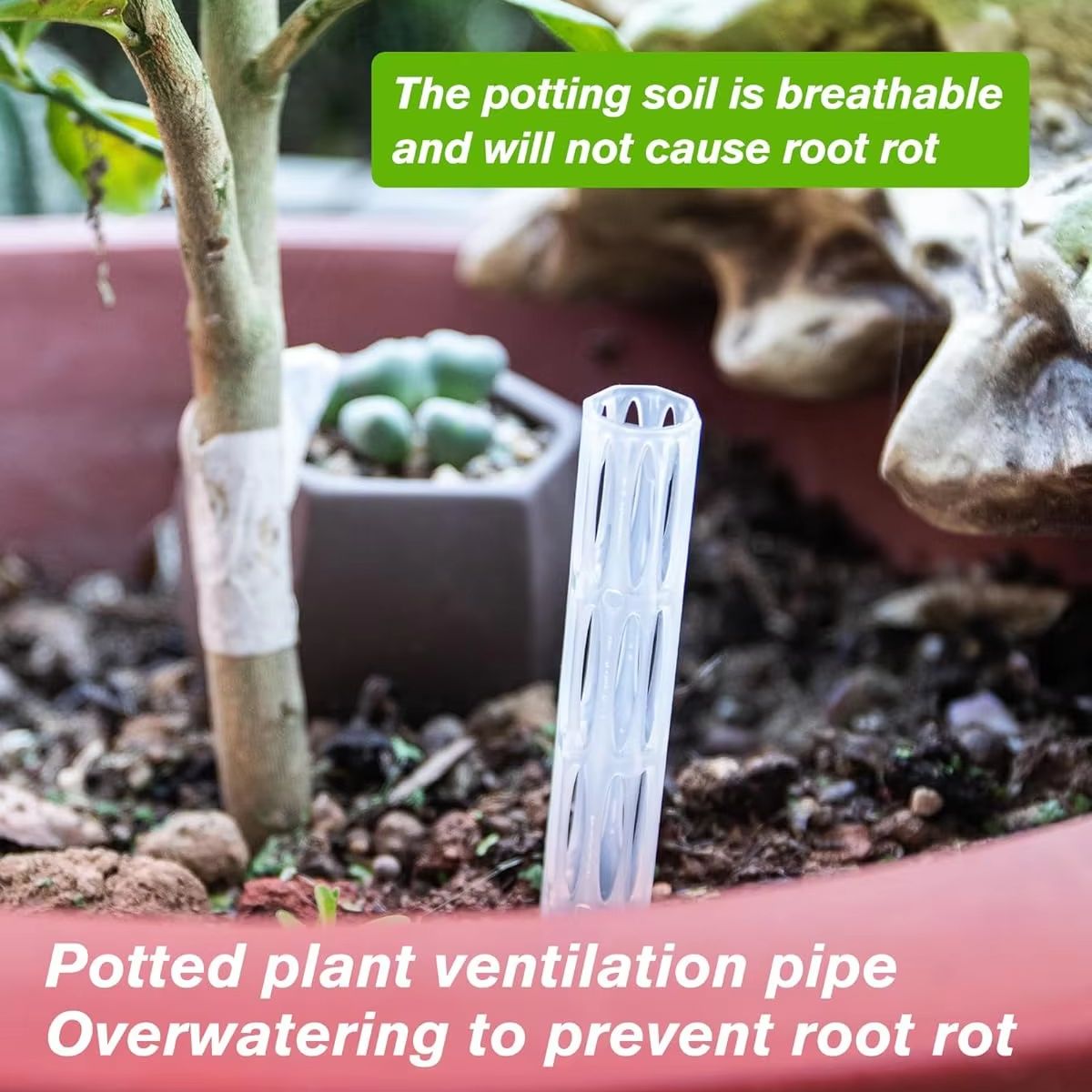 10/20Pcs Drainage Pipes To Pre - Plant Parenting 评论和价格