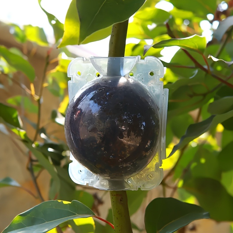 10Pcs High Pressure Plant Root - Plant Parenting 评论和价格
