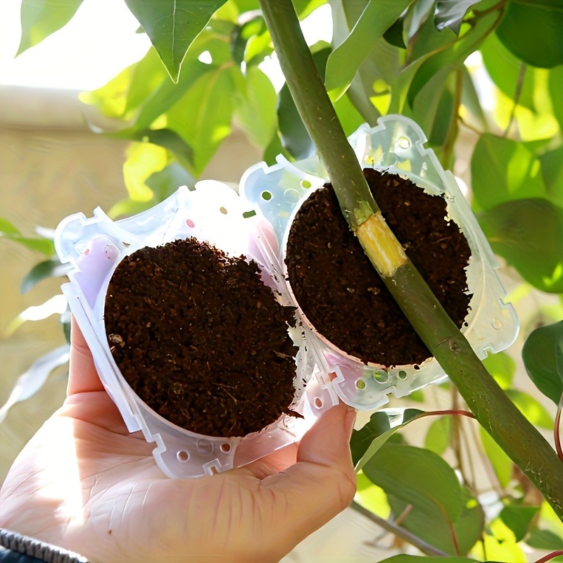 10Pcs High Pressure Plant Root - Plant Parenting 评论和价格