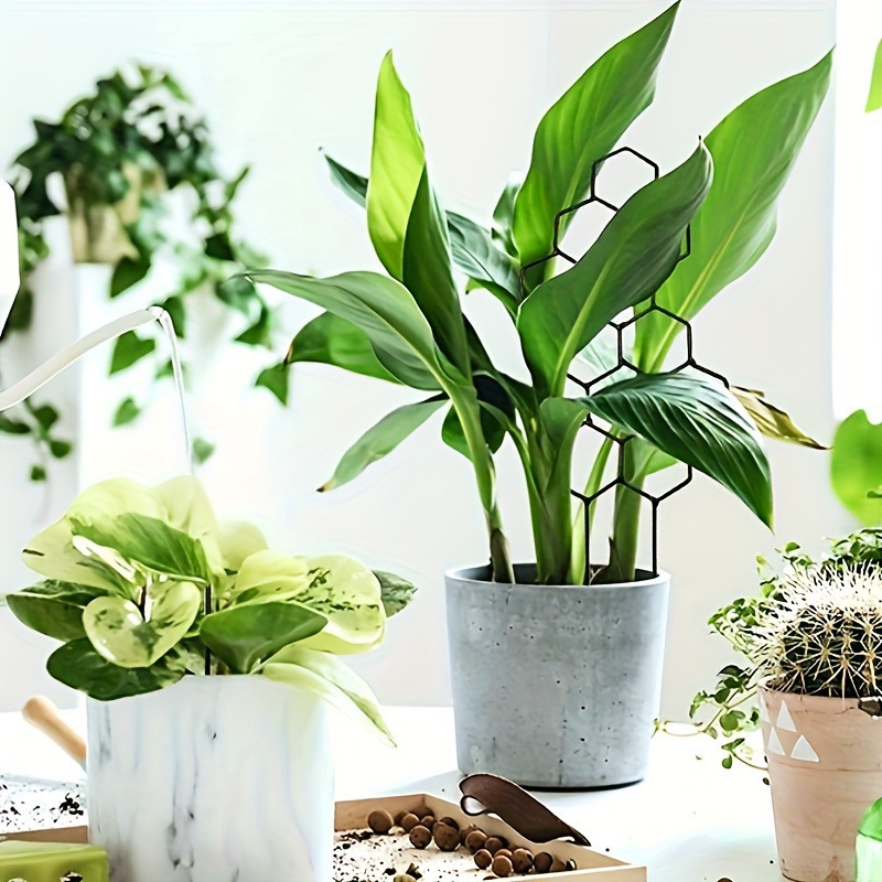 1PC Honeycomb Design Plant Tre - Plant Parenting 评论和价格