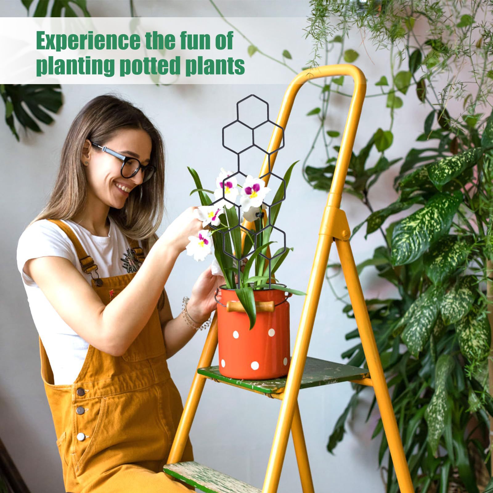 1PC Honeycomb Design Plant Tre - Plant Parenting 评论和价格